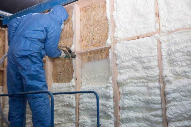 Trusted Pleasant Ridge, MI Insulation Services Experts